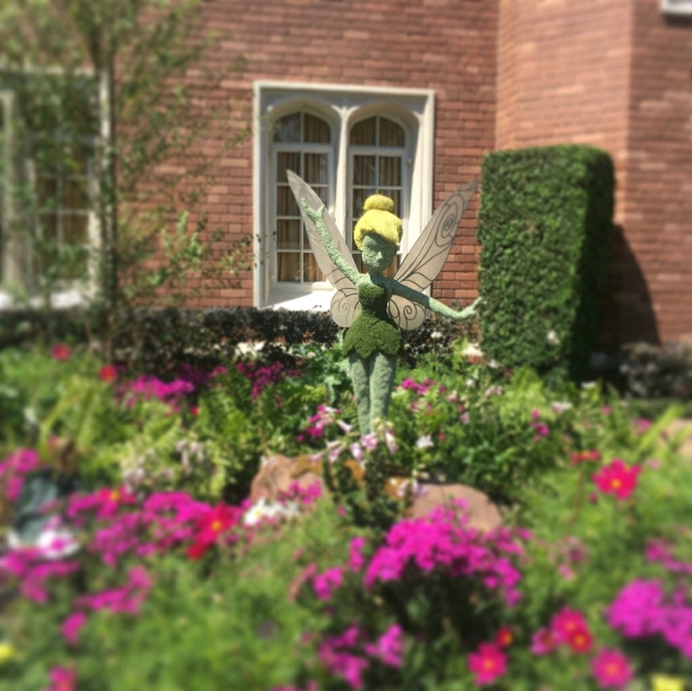 Meet your Posher, Eden